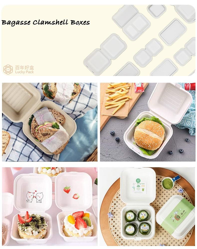 Biodegradable Clamshell Burger Container Disposable Sugarcane Lunch Box