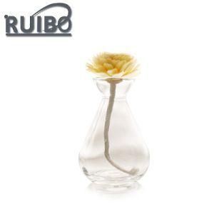 100ml Special Shaped Diffuser Glass Bottle with Sticks