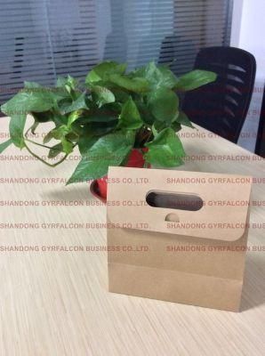 100% Biodegradable Kraft Paper with Custom Logo Printed Paper Bag