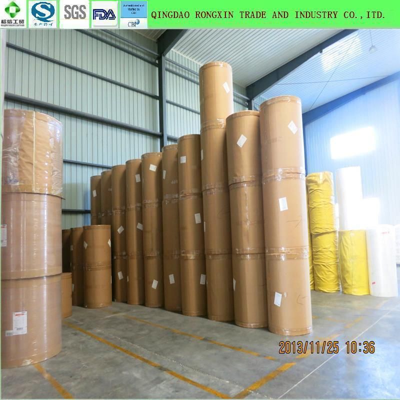 PE Coated Paper for Drier Sachet Bag Packaging in Roll