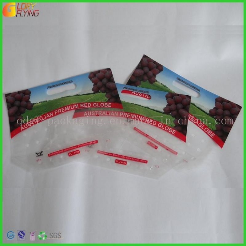 Fresh Vegetable and Fruit Food Packaging Bag with Flap and Perforation.