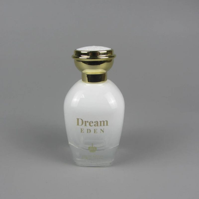 100 Ml Hot Sale Square Glass Perfume Bottle with Sprayer