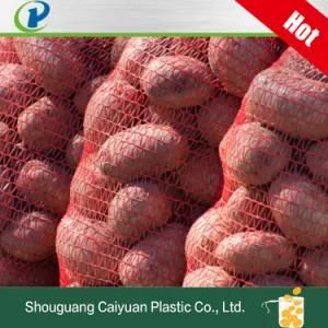 Packaging Plastic Net PP Bag Durable Plastic PP Tubular Leno Mesh Bag for Onion Potato Vegetable Firewood Seafood