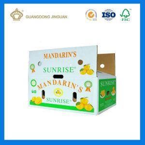 Rigid Fruit Cardboard Corrugated Box with Full Color Printing (with plastic Handle)