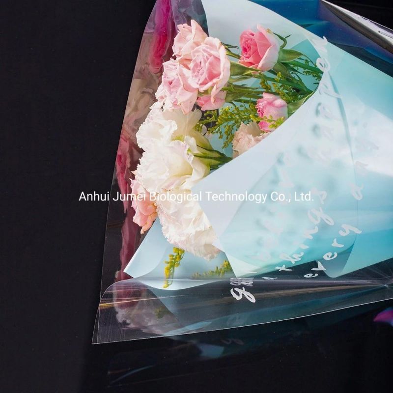 Biodegradable Garment Bags PLA Pbat Compostable Garment Packaging Bags