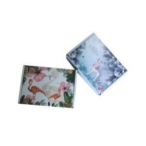Plane Shape Packaging Box Recyclable Paper Box with Logo Printing