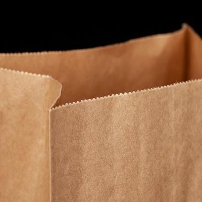 Wholesale New Product Fried Food Packaging Bag Custom Printing