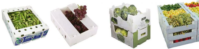 Corrugated Plastic Box for Vegetable and Fruit Boxes for Seafood Boxes of Correx Boxes and Coroplast Box