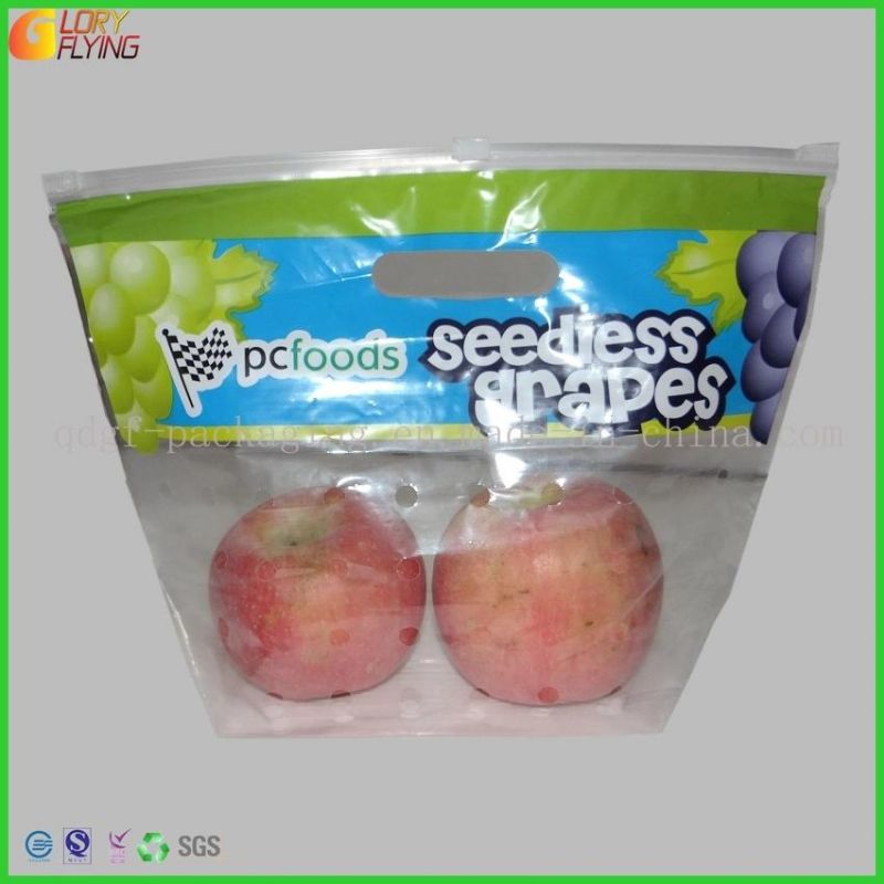 Stand up Fresh Fruits Plastic Food Packaging Bag/Zipper Bag with Perforation