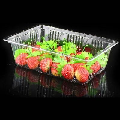 R-PET disposable plastic fruit tray take-away transparent blister frozen fruit tray
