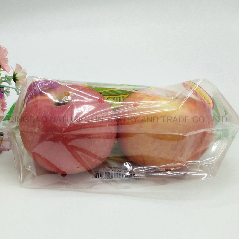 Recyclable Stand up Zipper Bag for Fruit Food Packing Pouch