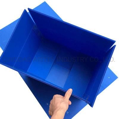 Folding Polypropylene Corrugated Plastic Correx Box