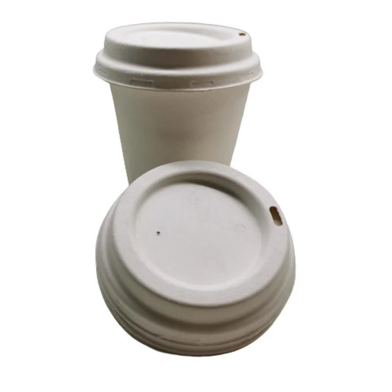 Custom Logo Printed Biodegradable Drinking Cups with Cup Lids