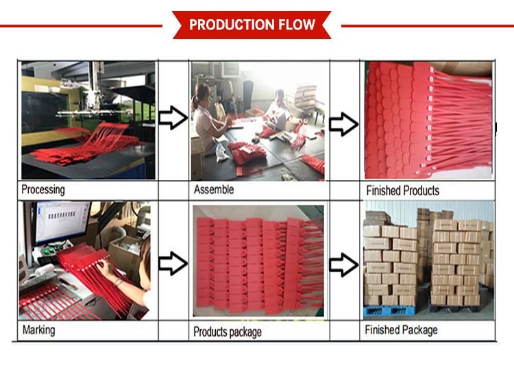 Numbers Printed Plastic Seal for Fire Extinguisher