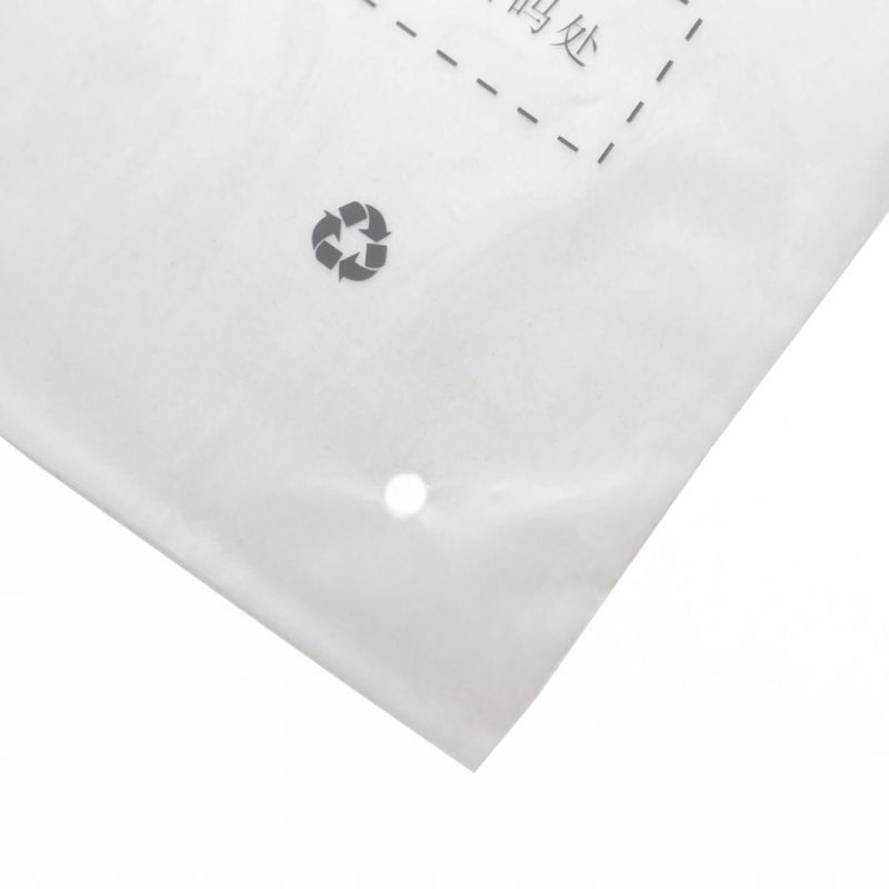 PE Plastic Bag Packaging Bag for Garment OEM Poly Bag