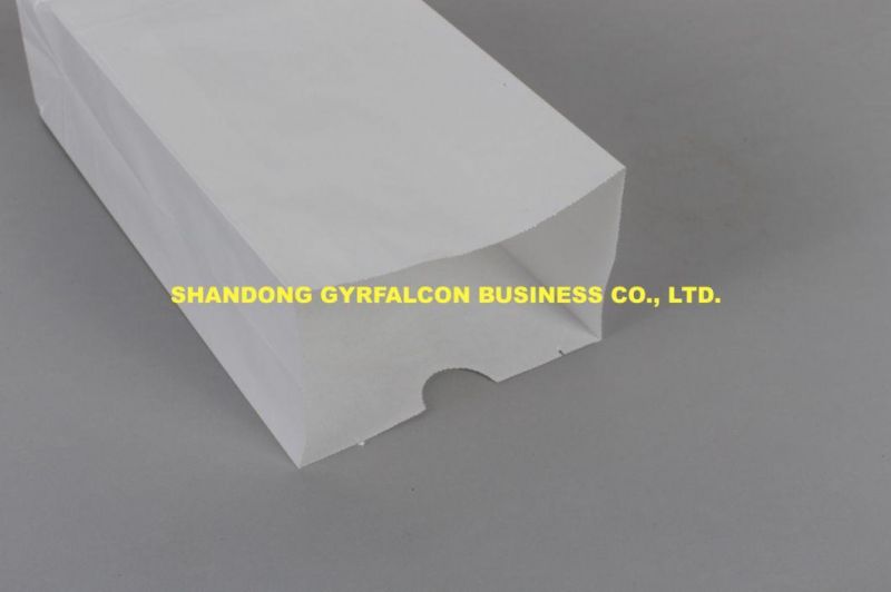 OEM Service Biodegradable White Kraft Paper Bag