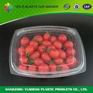 Clear Packaging Disposable Food Container