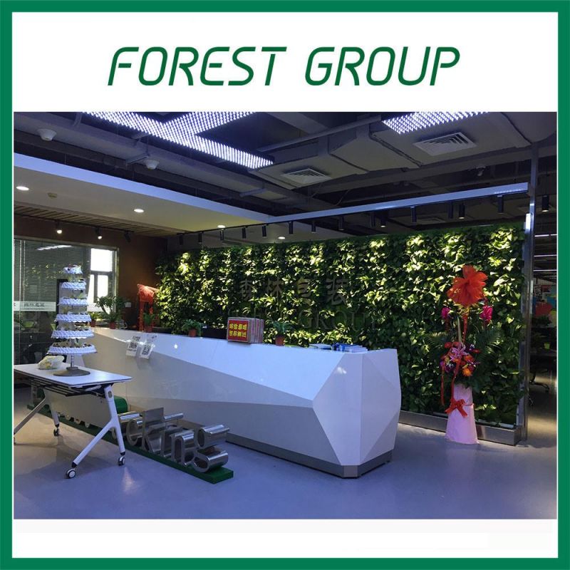 Printed Corrugated Shipping Box with Forest Decoration Inside OEM Shipping Box