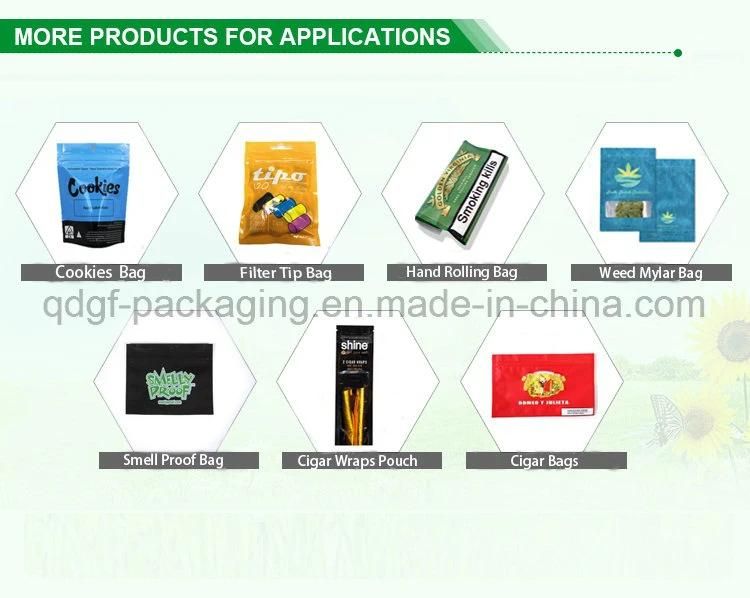 Plastic Packaging Bag with Many Styles to Pack and Use in Different Packaging Field