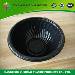 Wholesale Disposable Food Container Salad Container