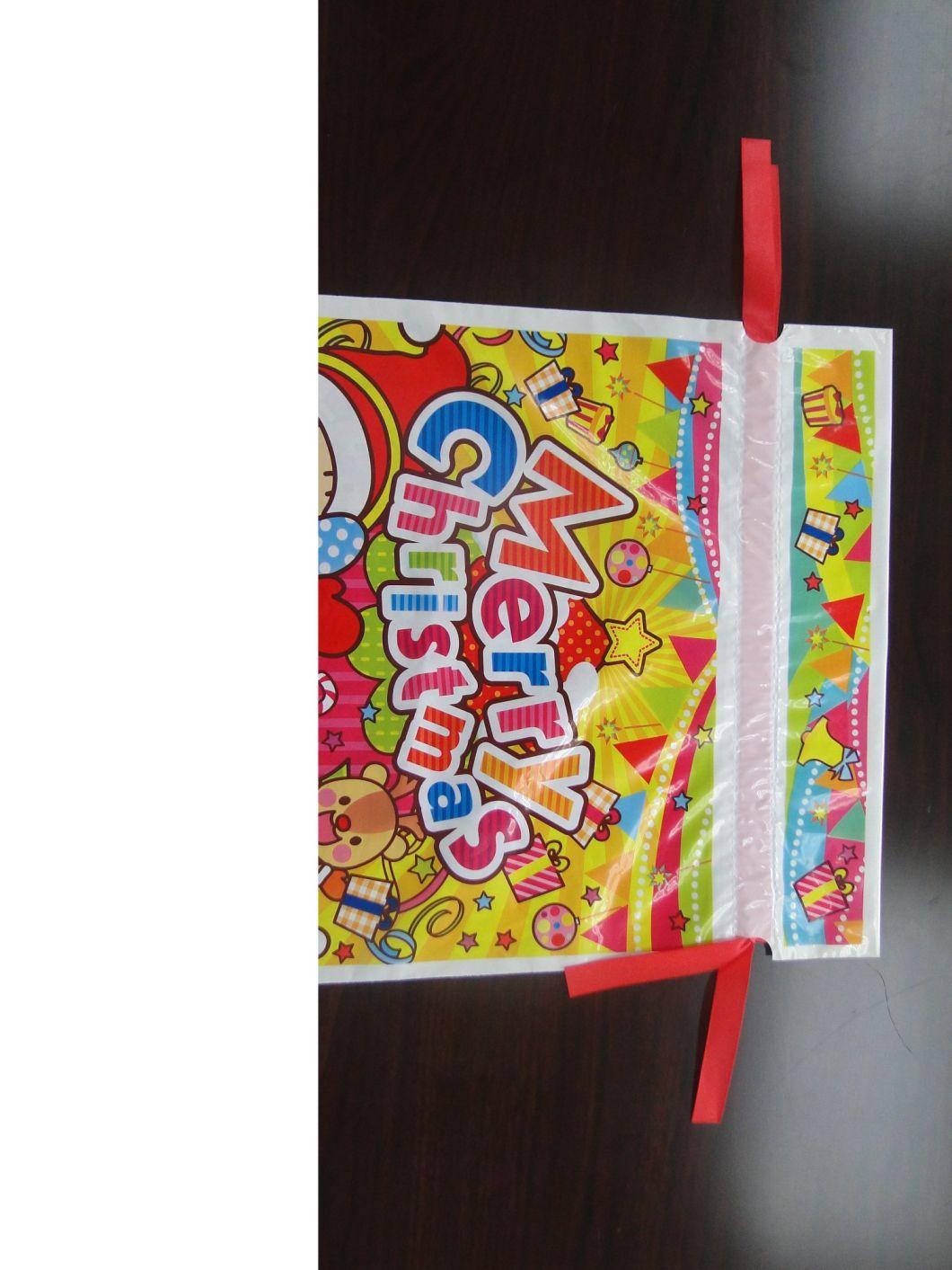 PP Material Gift Bag Plastic Packaging Pouch