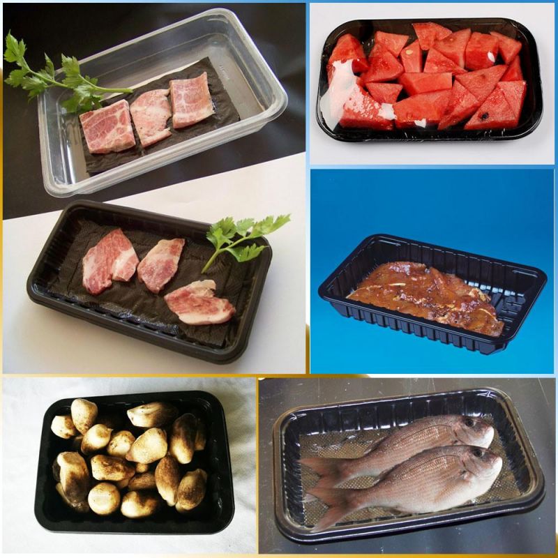Compostable Biodegradable Foaming PLA Snack-Box