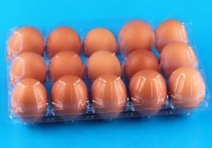 Plastic Biodegrade 15 Eggs Holder Tray Transparent Clamshell Container Box