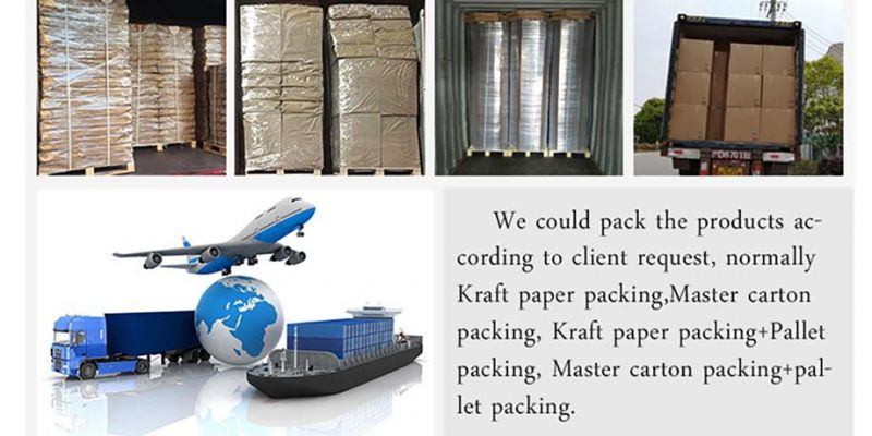 Duplex Paper Cardboard Airplane Style for Shipping