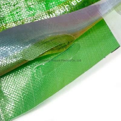 Custom PP Woven 5kg Rice Bag Gravure Printing Ecofriendly Side Gusset Agriculture Bag
