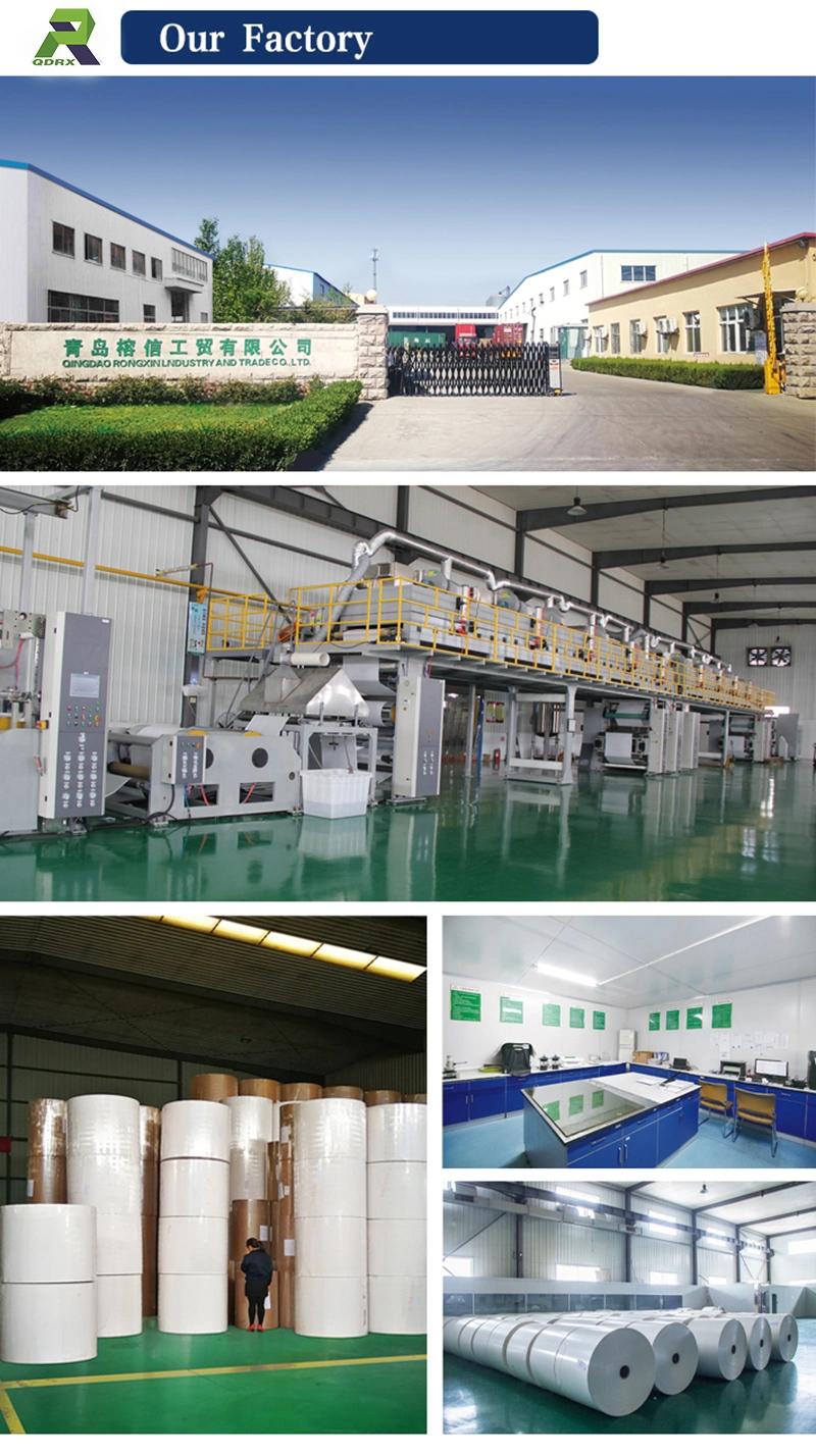 Food Grade PE Coated Paper for Cup Making