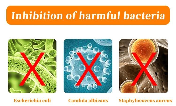 Biodegradable Lady Care Wipes Disposable OEM Care for Your Health