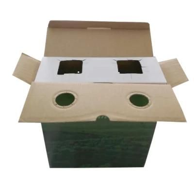 China Made Food Paper Box for Oliver Oil Packing
