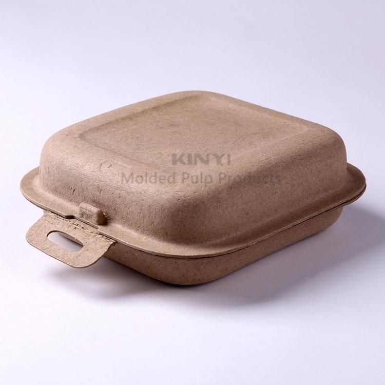 Eco-Friendly Disposable Recycle Paper Pulp Food Packaging Box