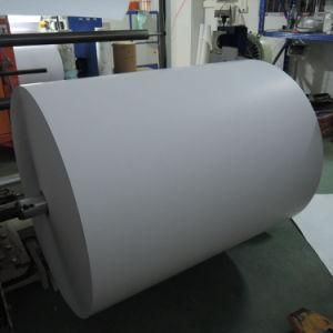 100% Virgin Raw Paper Materials for Thermal Paper, Art Paper, Synthetic Paper Jumbo Roll