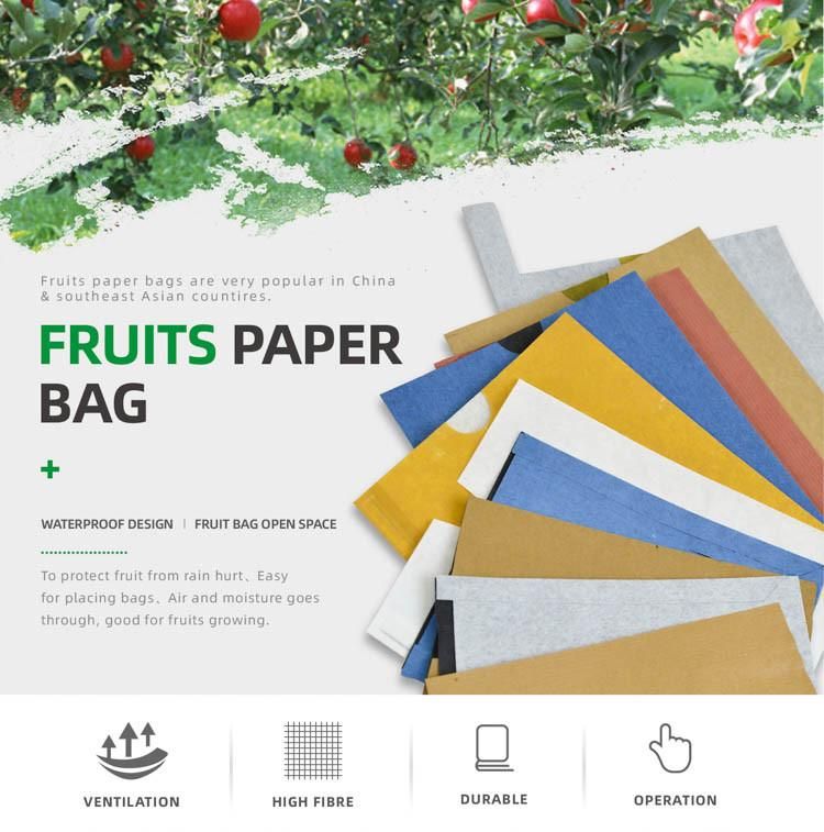 China Manufacturer Fruit Pomegranate Protection Bag/Mango Fruit Protection Bag