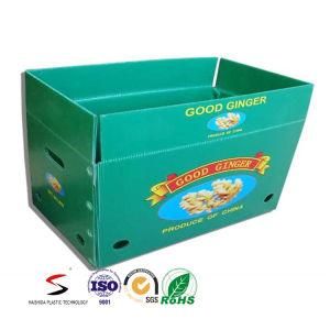 Foldable Vegetable Corrugated Boxes