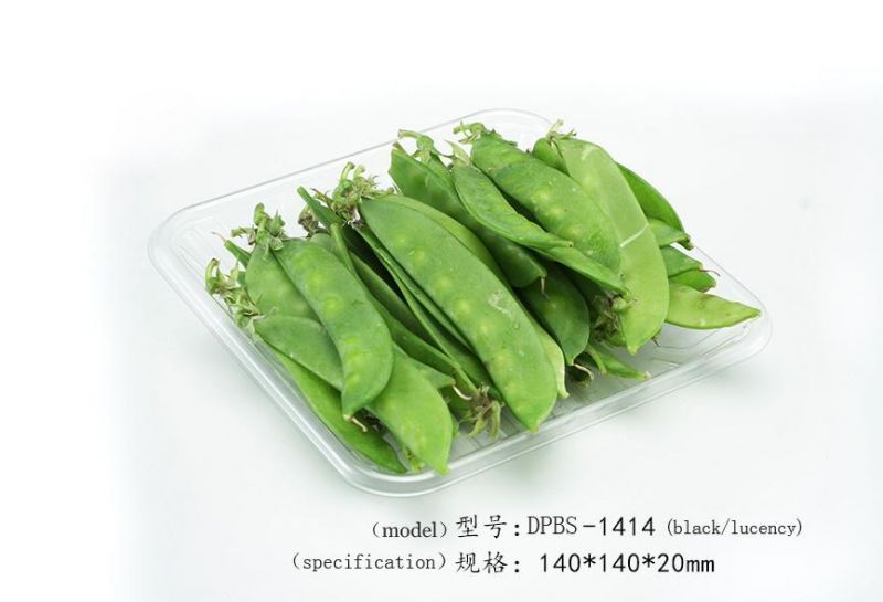 Customized Disposable Fresh Food Biodegradable Packing Box