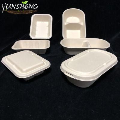 Sugarcane Fibers Bagasse Compostable Take out Food Containers