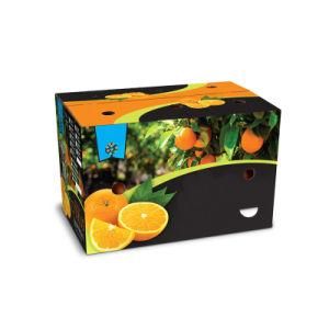 Cmyk Fruit Carton Box Fresh Fruit Export Packaging Box