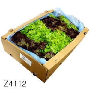 Z4112 Lettuce Carton Box Custom Fruit Transport Packing Box/ Cardboard Box for Fruit Wholesale