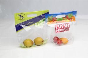 Stand up Pouch with Zipper for Fruits Packaging Bag