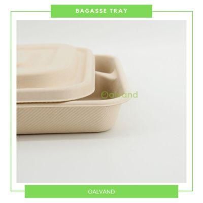 5-Compartment Biodegradable Microwavable Sugarcane Bagasse Takeout Food Tray