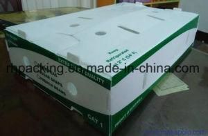 Twinwall PP Box, Plastic Carton, Coroplast Box Manufacturer/PP Fruit Box with Corona Treated 3mm 4mm 5mm