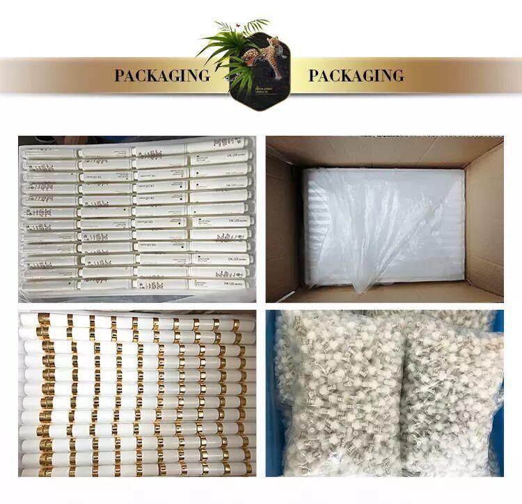 Green Polyethylene PE Sugarcane Plastic Cosmetic Cream/Gel/Serum/Sunscreen Body/Lipgloss/ Mascara/Eyelash/Eyeliner Packaging Skincare Cosmetic PE Soft Tube