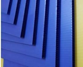 Blue Color PP Corrugated Plastic Sheet Corflute Coroplast Correx
