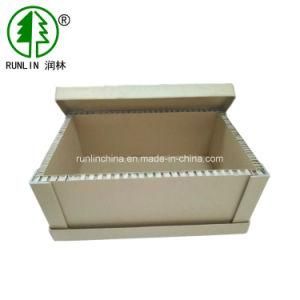 Paper Honeycomb Box