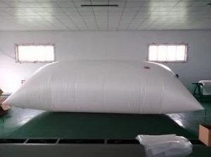 20&prime; Container ISO Flexible Tank