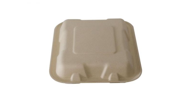 Custom Packaging White Nature Sugarcane Bagasse Lunch Boxes with Lid Food Packaging Box Take Away Food Container