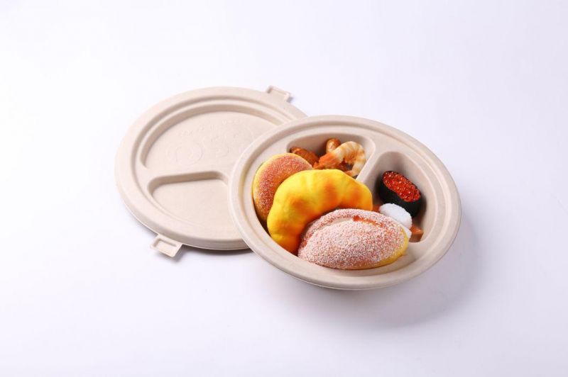 Molded Pulp Biodegradable Packaging Box with Tray