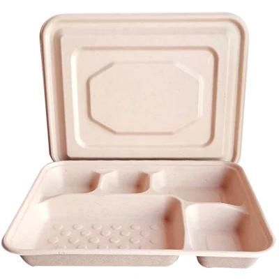 Biodegradable Disposable Food Container Pulp Takeout Food Box with Lid